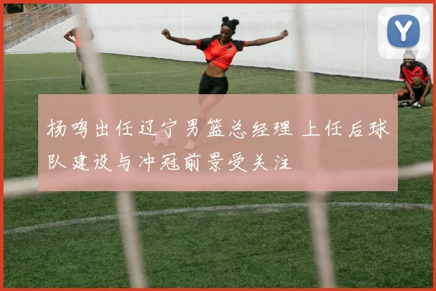 杨鸣出任辽宁男篮总经理 上任后球队建设与冲冠前景受关注