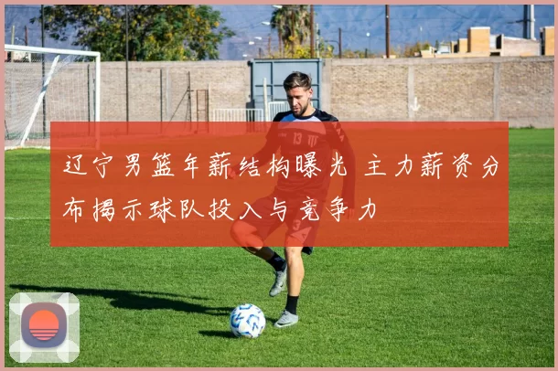 辽宁男篮年薪结构曝光 主力薪资分布揭示球队投入与竞争力