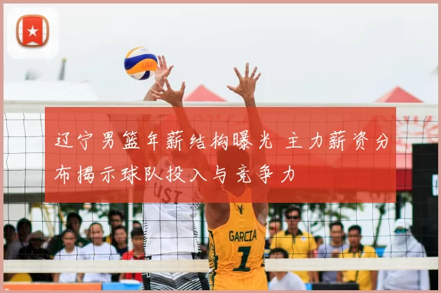 辽宁男篮年薪结构曝光 主力薪资分布揭示球队投入与竞争力